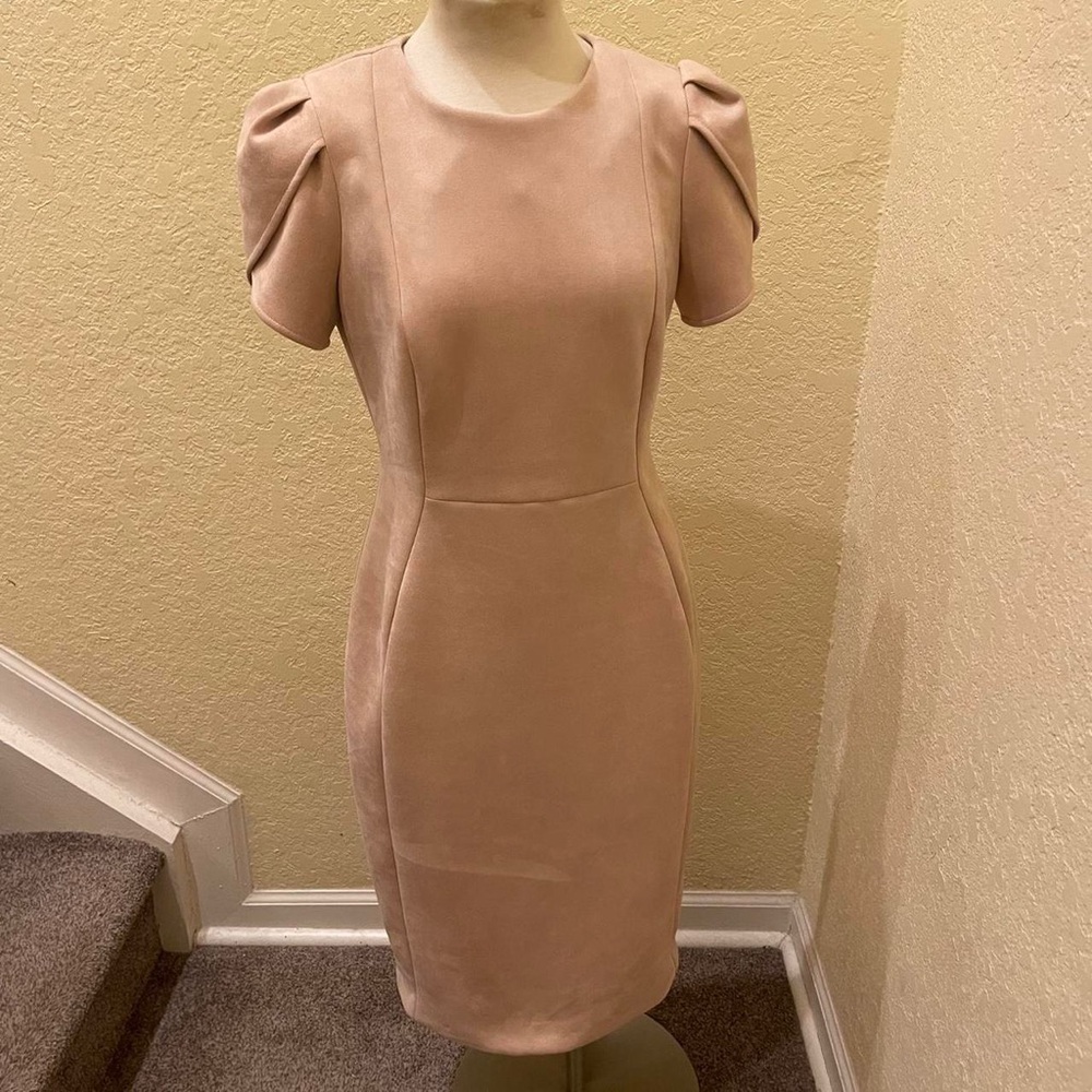 Calvin Klein Blush Flutter Sleeve Zipper Back Knee Length Dress Size 14 NWT